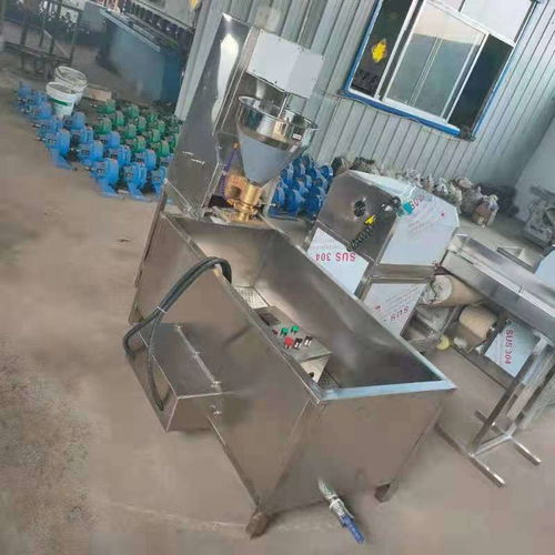 自動包心肉丸機魚丸機生產(chǎn)包餡豬肉丸貢丸魚丸丸子機